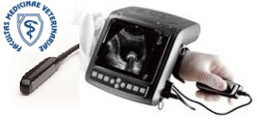 KX5200 - terénní ultrazvuk