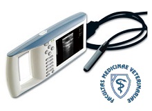 KX5100 terénní ultrazvuk